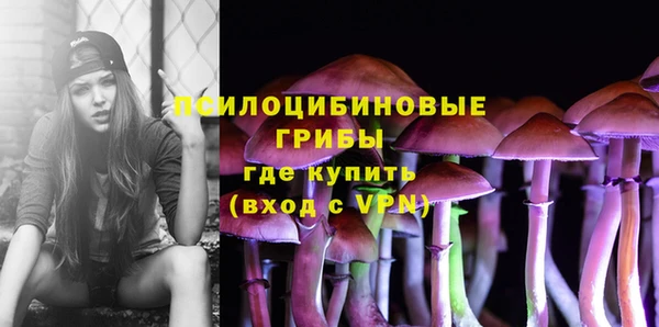 таблы Михайловск