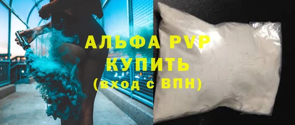 сатива Надым