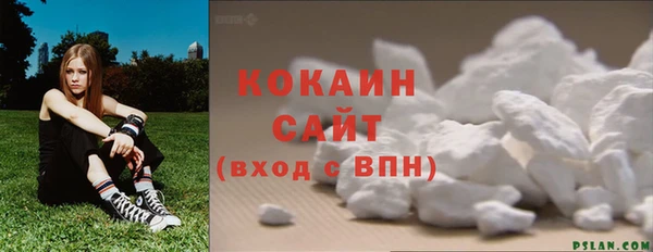 сатива Надым