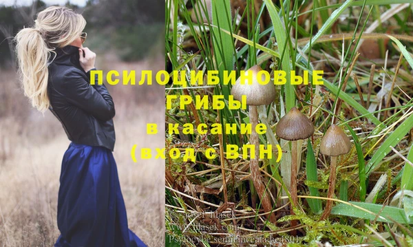 СК Навашино