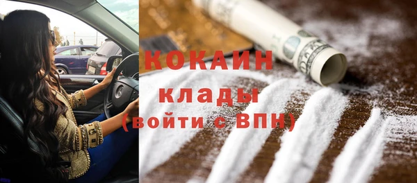 сатива Надым