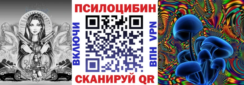 Псилоцибиновые грибы Cubensis  Купить закладки  Димитровград 